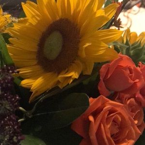 Meet your Posher, Debbi